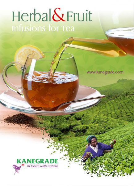 Kanegrade Tea broch Coverpx